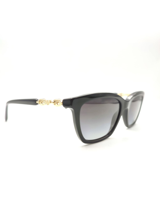 Εικόνα της EA 4238 5017/8G EMPORIO ARMANI ΣΥΜΙΚΤΟ ΗΛΙΟΥ ΓΥΝΑΙΚΕΙΟ
