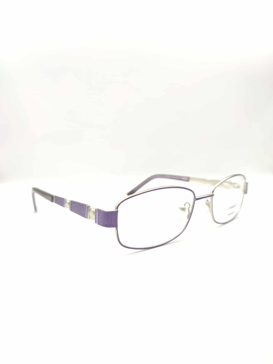 Εικόνα της PREM  E 1211 C02 PREMIER ΜΕΤΑΛΛΙΚΟΣ ΣΚΕΛΕΤΟΣ ΟΡΑΣΕΩΣ